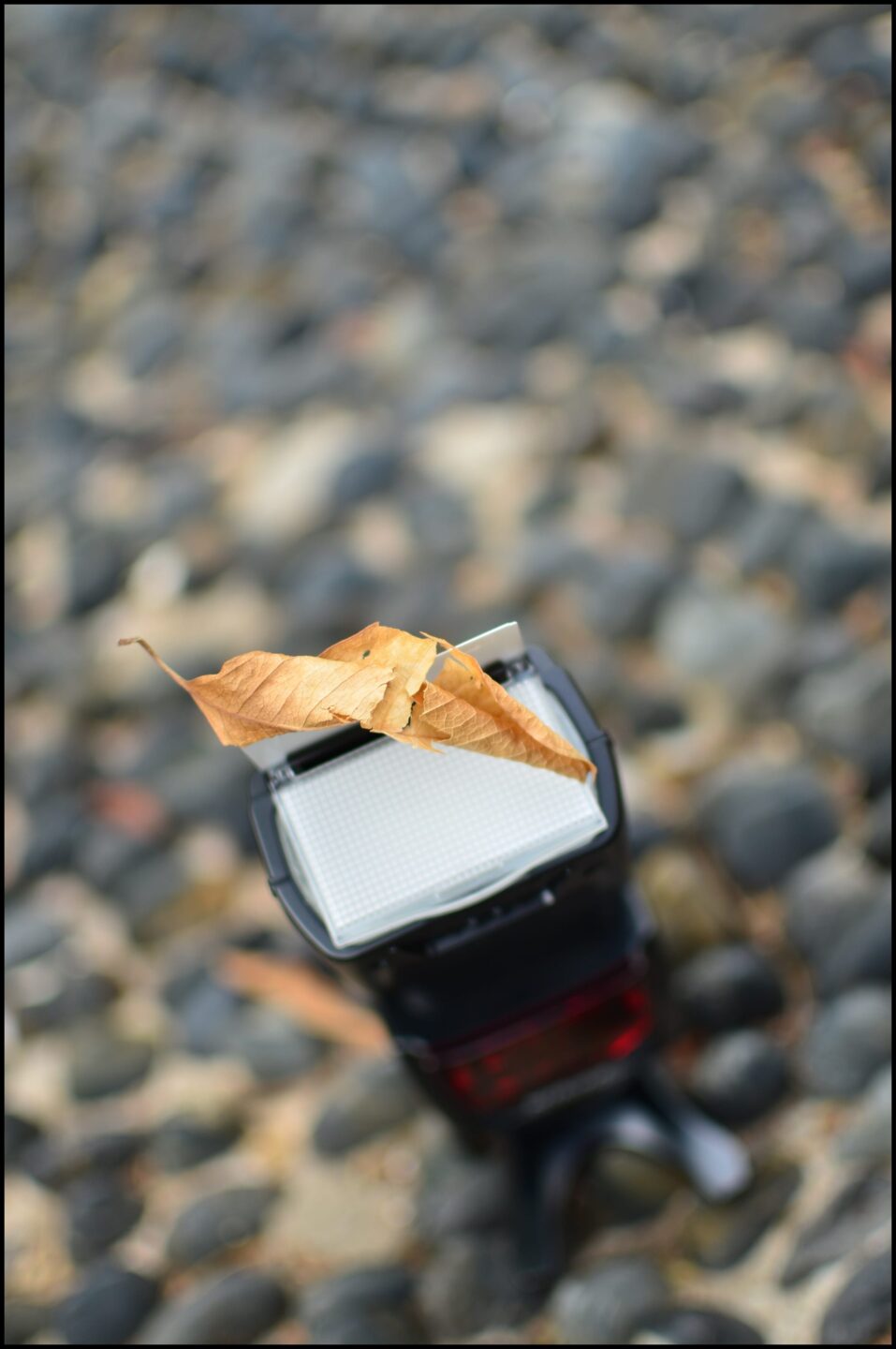Nikon speedlight sb700 lies ontop of a pebbled road in the Victoria Park of Hong Kong